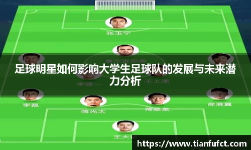 智博19有限公司