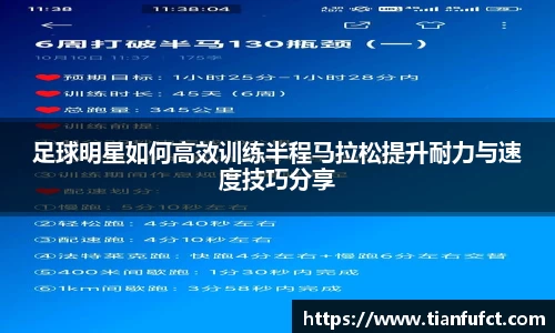 智博19有限公司